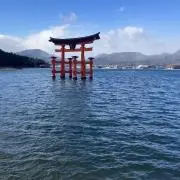 あかの画像