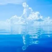 ☆いずみ☆の画像