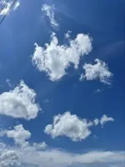 ひろさん