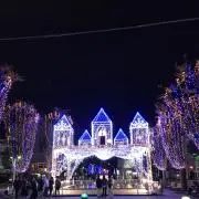 コウ　プロフ確認お願いします。の画像