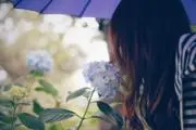 SANSAKIの画像