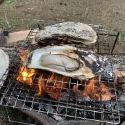 太郎の画像