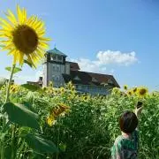 beautiful☆springの画像