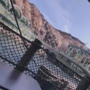 なすの画像