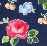 NANA1432★お急ぎ発送はご連絡をの画像