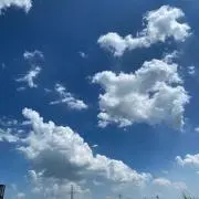 こっちゃん