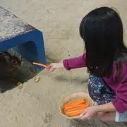 悠奈々の画像