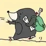 もぐ　※次回発送8月24日！の画像