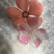 来夢の画像