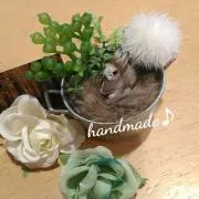 みゅう♡Nanaの画像
