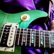 COOL-Z テレキャスタータイプ ZTL-2R/3TS フジゲン製造品 - メルカリ