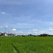 かぁしゃん.