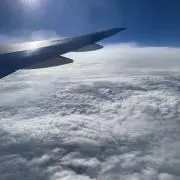 Max Muncy フィギュア 13 Max Muncy フィギュア 13 - メルカリ