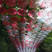 まっつう☆の画像