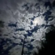 digの画像
