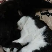 ムゥちん