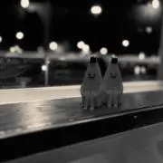 いくらの画像