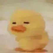 ジョ