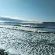 波男の画像