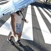 ぷちこ。