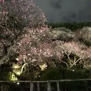 キキカーさん