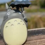 totoroの画像