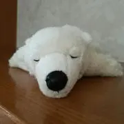 クミ( 〃▽〃)