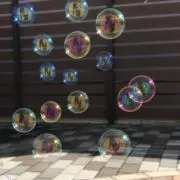 ひーーの画像