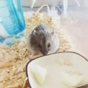 madoの画像