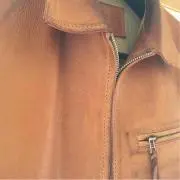 FSH