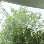 らむの画像