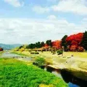 Also los!の画像