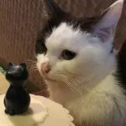 み、の画像