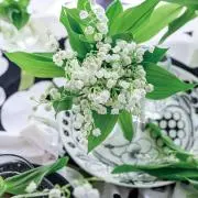 M.の画像