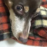 yuke (自己紹介文をお読みください)