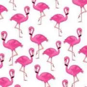 ᙏ̤̫͚ ♡の画像