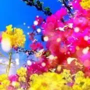 ちゃちゃの画像