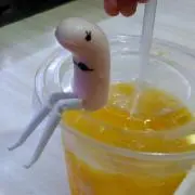 ☆ALOHA☆の画像