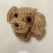ちょこの画像