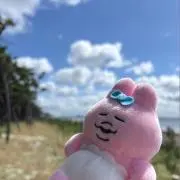 やまこ@