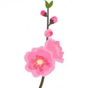 桃花の画像