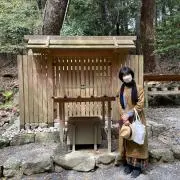 このはなさく舞姫の画像