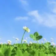 ♡の画像