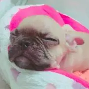 sakitty♡の画像