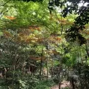 akiの画像