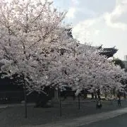 ヒロヤスの画像