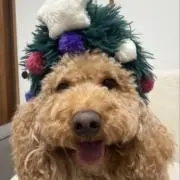 あーちゃんママの画像