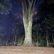 Jinの画像