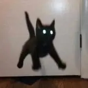 そめやん