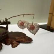 ＊*tinoconabaily*＊の画像